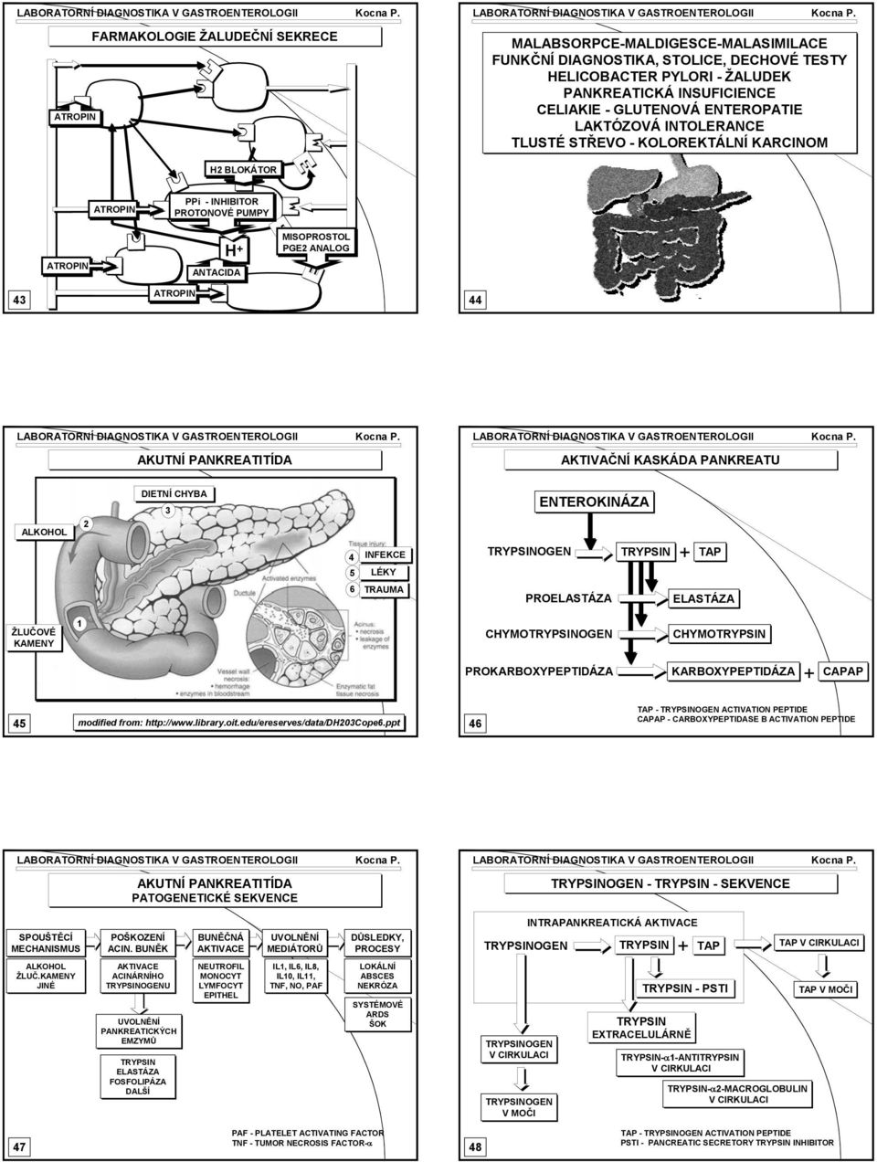 DIETNÍ CYBA 3 4 5 INFEKCE LÉKY ENTEROKINÁZA TRYPSINOGEN TRYPSIN TAP 6 TRAUMA PROELASTÁZA ELASTÁZA ŽLUČOVÉ KAMENY 1 CYMOTRYPSINOGEN CYMOTRYPSIN PROKARBOXYPEPTIDÁZA KARBOXYPEPTIDÁZA CAPAP 45 modified