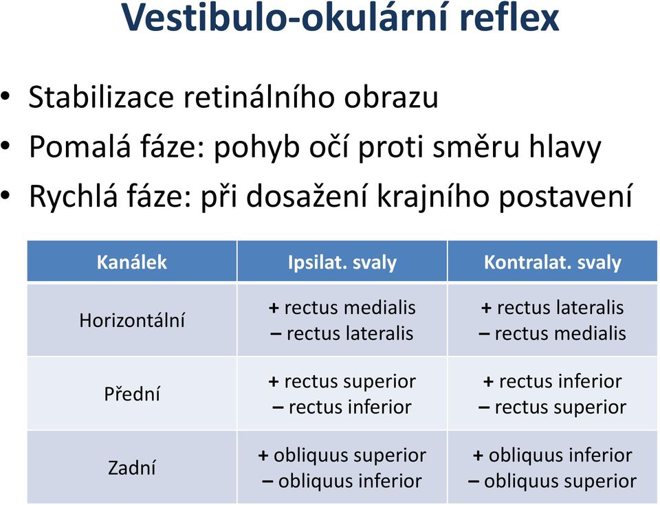 svaly Horizontální Přední Zadní + rectus medialis rectus lateralis + rectus superior rectus inferior +