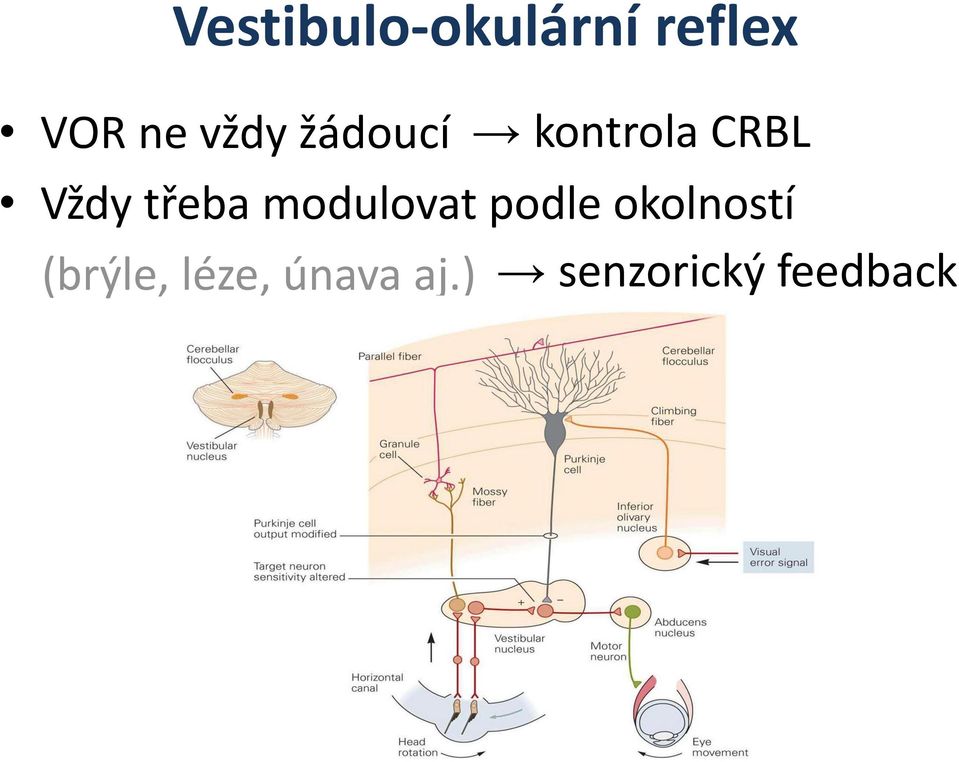 třeba modulovat podle okolností