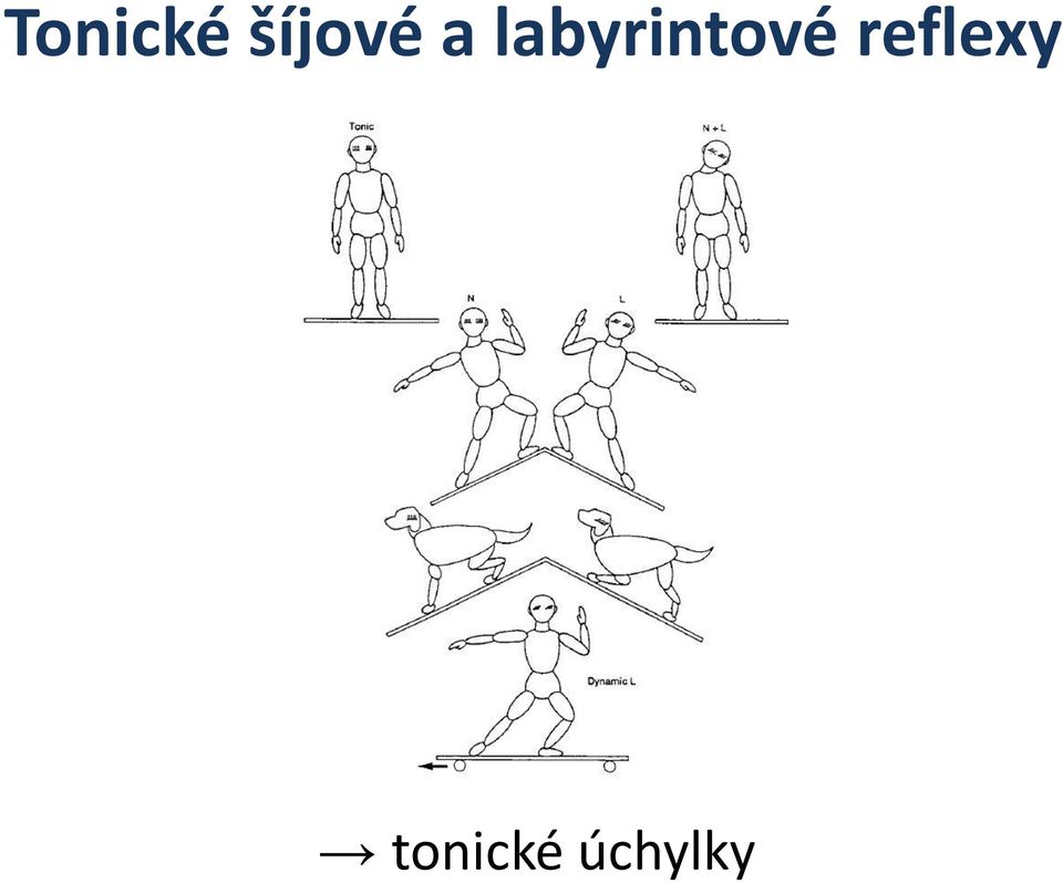 labyrintové