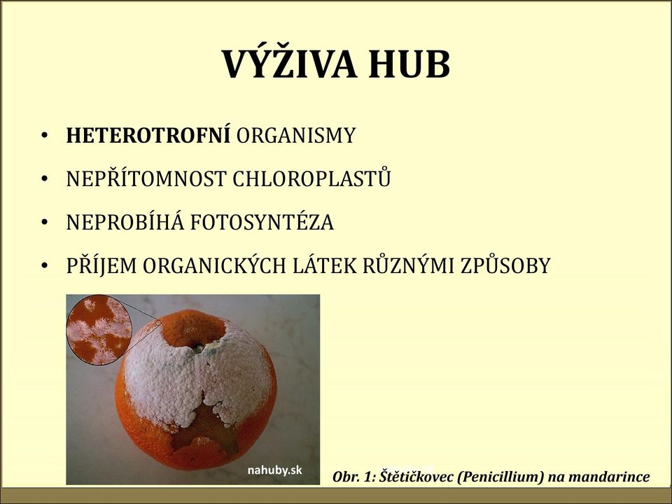 ORGANICKÝCH LÁTEK RŮZNÝMI ZPŮSOBY nahuby.
