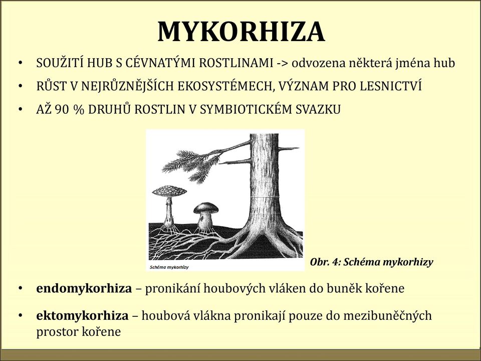 SYMBIOTICKÉM SVAZKU Obr.