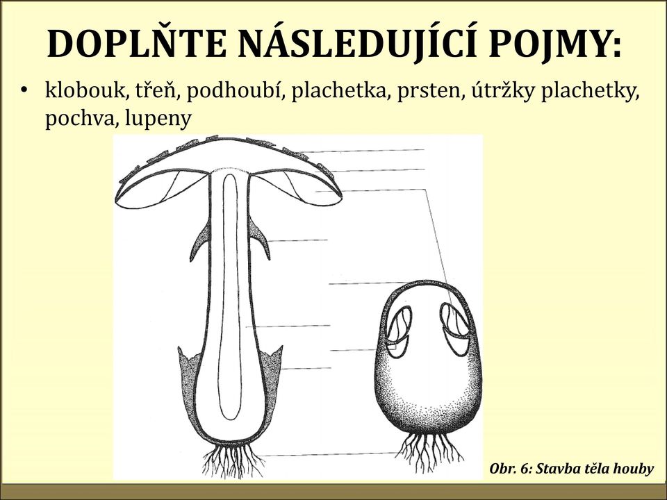 plachetka, prsten, útržky