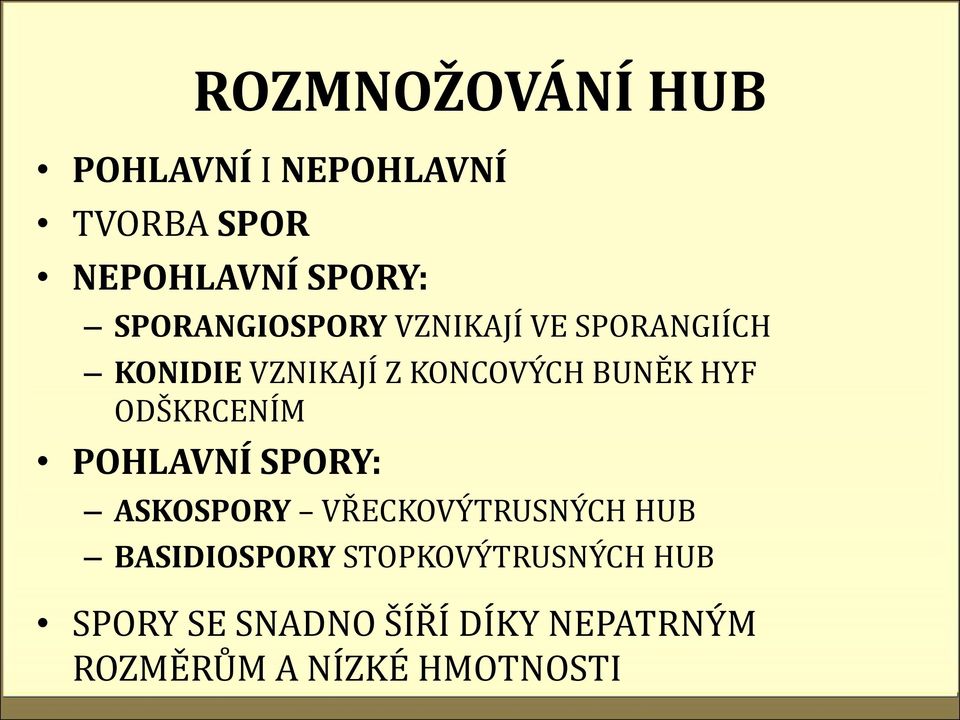 HYF ODŠKRCENÍM POHLAVNÍ SPORY: ASKOSPORY VŘECKOVÝTRUSNÝCH HUB BASIDIOSPORY