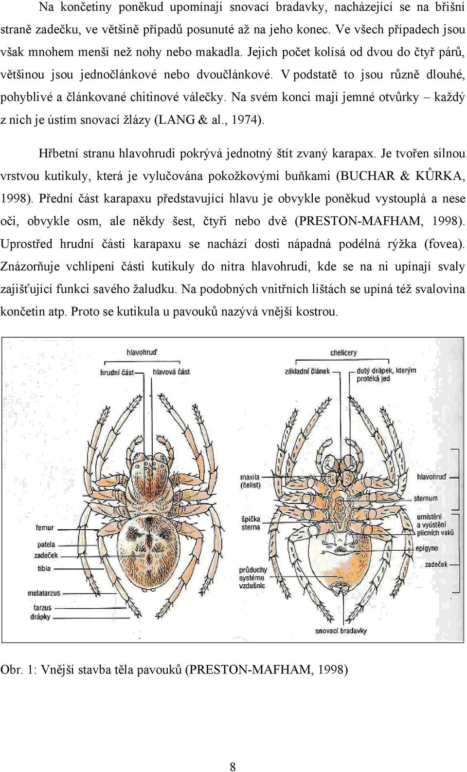 Na svém konci mají jemné otvůrky kaţdý z nich je ústím snovací ţlázy (LANG & al., 1974). Hřbetní stranu hlavohrudi pokrývá jednotný štít zvaný karapax.