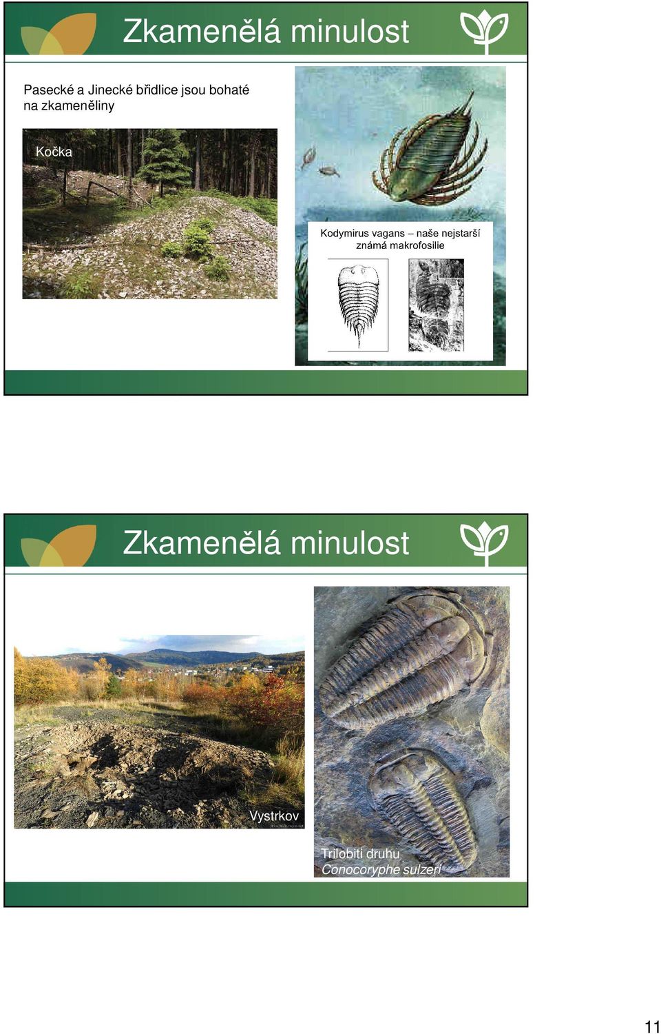 Kočka Vystrkov Zkamenělá minulost
