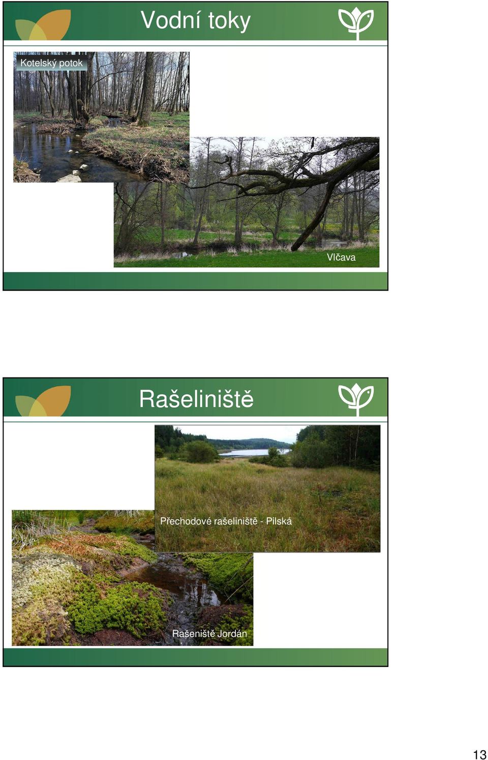 Rašeliniště Přechodové