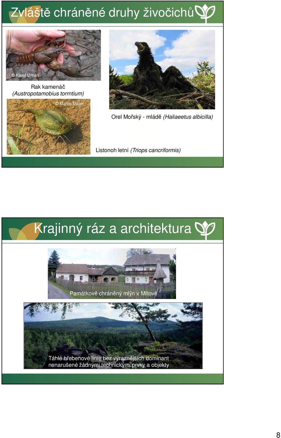 (Triops cancriformis) Krajinný ráz a architektura Památkově chráněný mlýn v Mítově