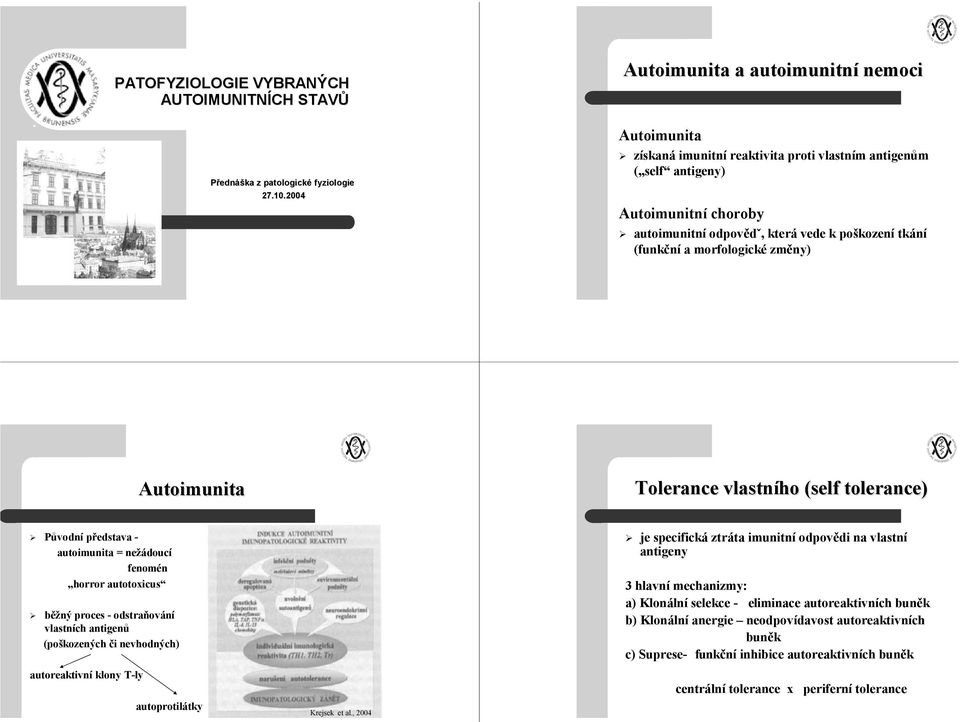 (funkční a morfologické změny) Autoimunita Tolerance vlastního (self( tolerance) Původní představa - autoimunita = nežádoucí fenomén horror autotoxicus běžný proces - odstraňování vlastních antigenů