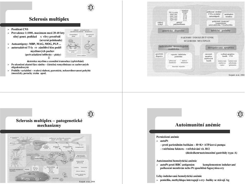 axonální transsekce (zpřetrhání) Po ukončení akutní fáze zánětu částečná remyelinizace ze zachovaných oligodendrocytů Průběh: variabilní svalová slabost, parestézie, nekoordinovanost pohybů