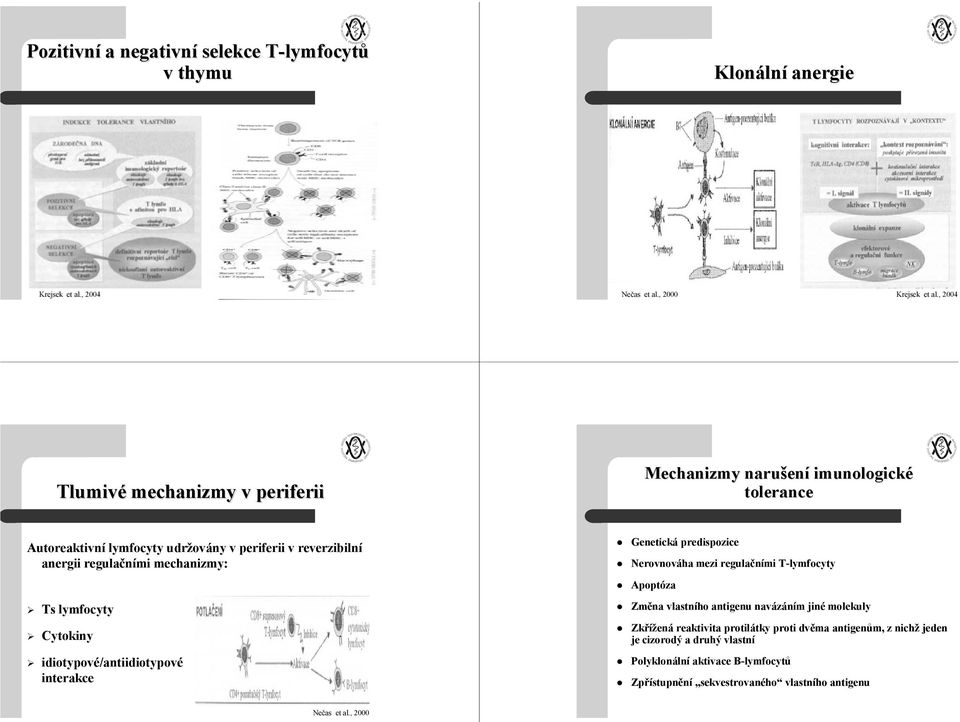 regulačními mechanizmy: Ts lymfocyty Cytokiny idiotypové/antiidiotypové interakce Genetická predispozice Nerovnováha mezi regulačními T-lymfocyty Apoptóza