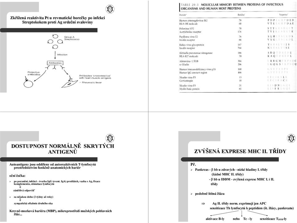 IgA) protilátek, vazba s Ag, fixace komplementu, stimulace lymfocytů zánětlivá odpovědˇ za nějakou dobu (2 týdny až roky) sympatická oftalmie druhého oka Krevně-mozková bariéra (MBP), mikroprostředí