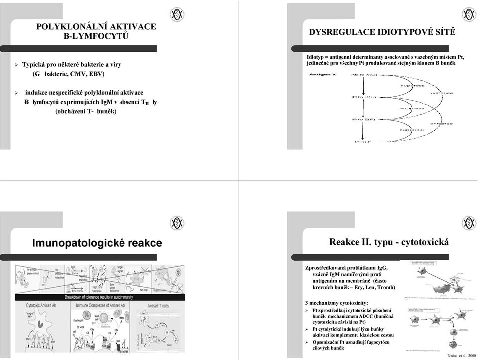 typu - cytotoxická Zprostředkovaná protilátkami IgG, vzácně IgM namířenými proti antigenům na membráně (často krevních buněk Ery, Leu, Tromb) 3 mechanizmy cytotoxicity: Pt zprostředkují cytotoxické