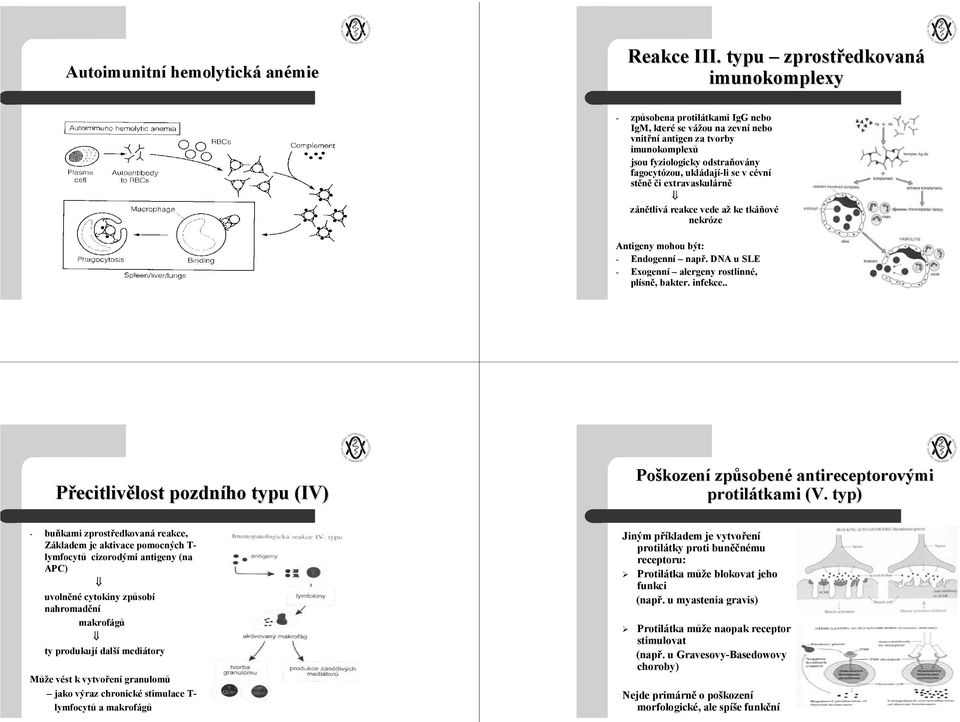 se v cévní stěně či extravaskulárně zánětlivá reakce vede až ke tkáňové nekróze Antigeny mohou být: - Endogenní např. DNA u SLE - Exogenní alergeny rostlinné, plísně, bakter. infekce.