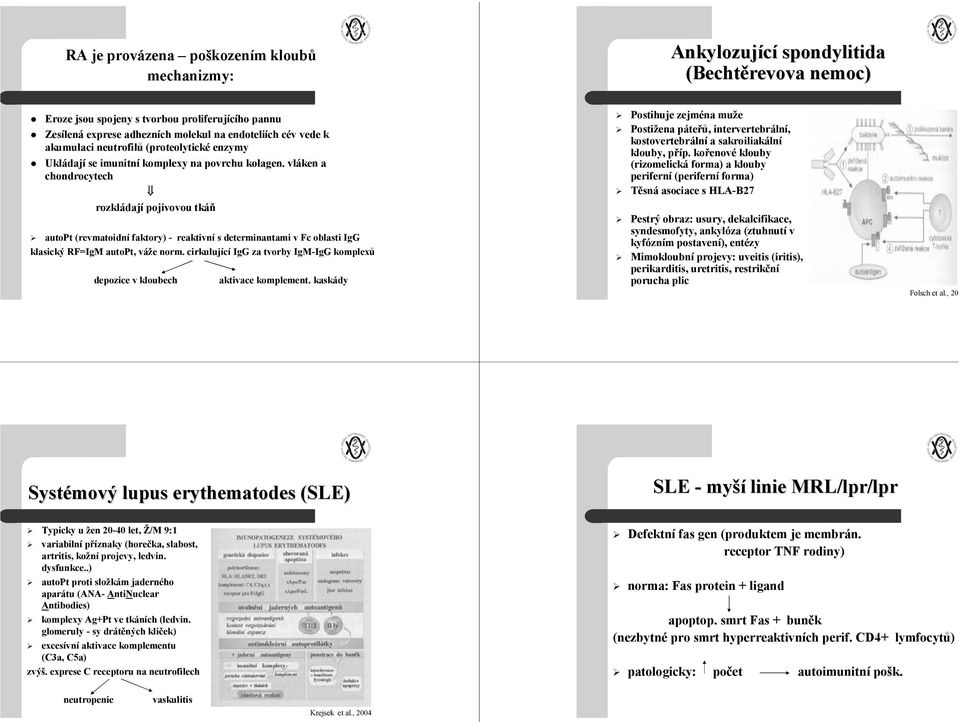vláken a chondrocytech rozkládají pojivovou tkáň autopt (revmatoidní faktory) - reaktivní s determinantami v Fc oblasti IgG klasický RF=IgM autopt, váže norm.