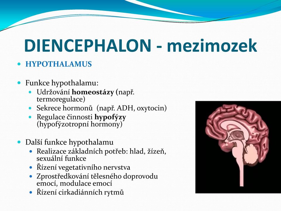 ADH, oxytocin) Regulace činnosti hypofýzy (hypofýzotropní hormony) Další funkce hypothalamu