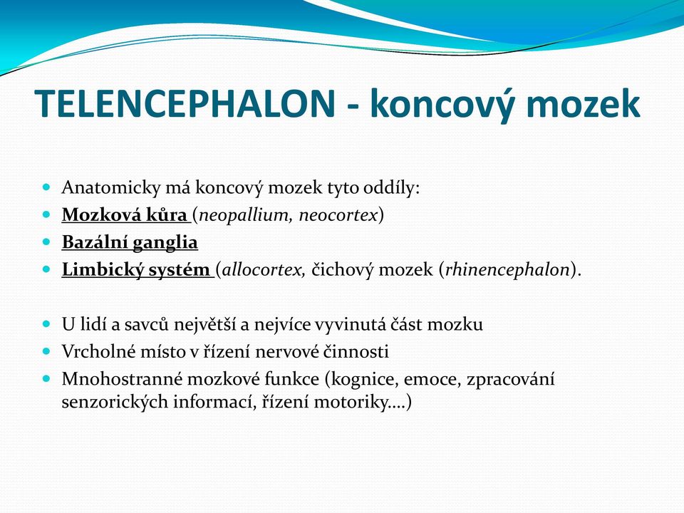 (rhinencephalon).