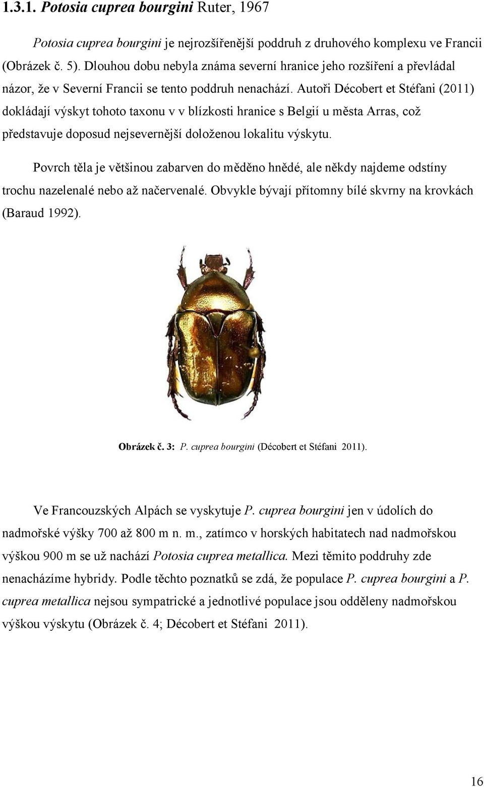 Autoři Décobert et Stéfani (2011) dokládají výskyt tohoto taxonu v v blízkosti hranice s Belgií u města Arras, což představuje doposud nejsevernější doloženou lokalitu výskytu.