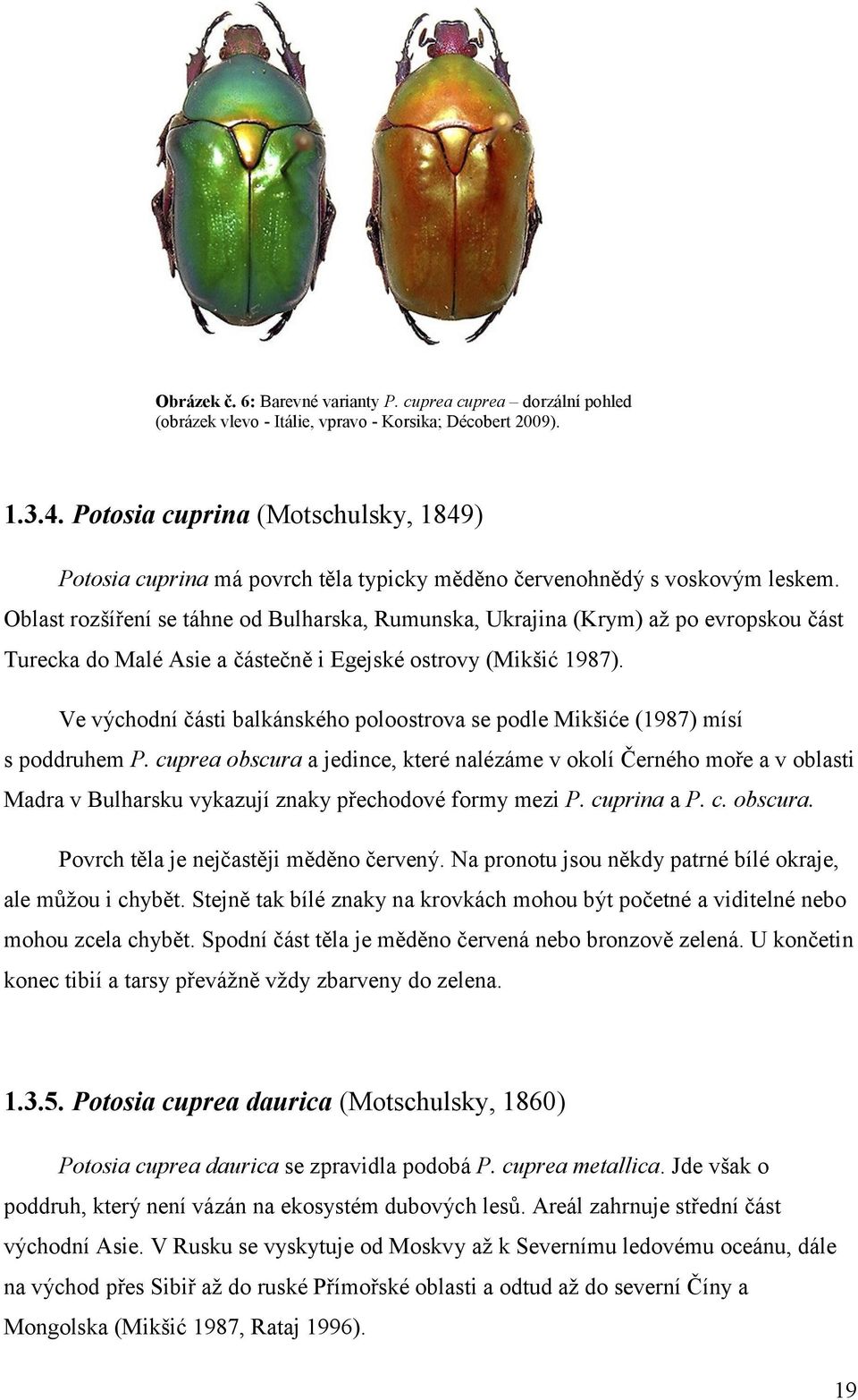 Oblast rozšíření se táhne od Bulharska, Rumunska, Ukrajina (Krym) až po evropskou část Turecka do Malé Asie a částečně i Egejské ostrovy (Mikšić 1987).