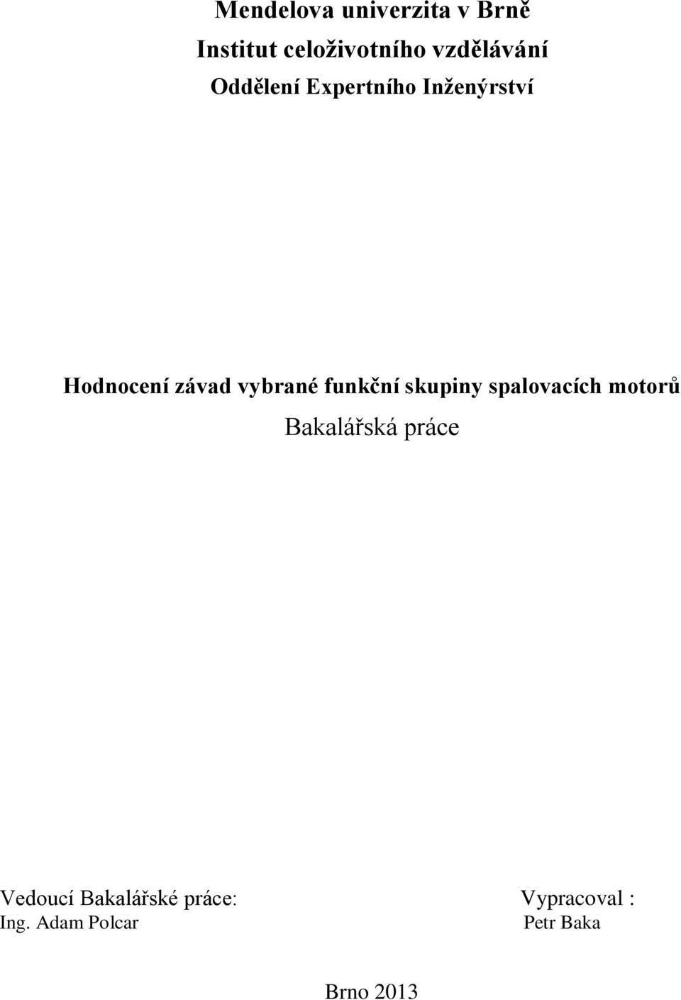 funkční skupiny spalovacích motorů Bakalářská práce Vedoucí