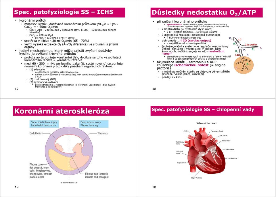 3 kpa a c[hb] = 150 g/l spotřeba v klidu: ~30 ml O 2 /min (65-70%) velmi vysoká extrakce O 2 (A-VO 2 diference) ve srovnání s jinými orgány jediný mechanizmus, který může zajistit zvýšení dodávky