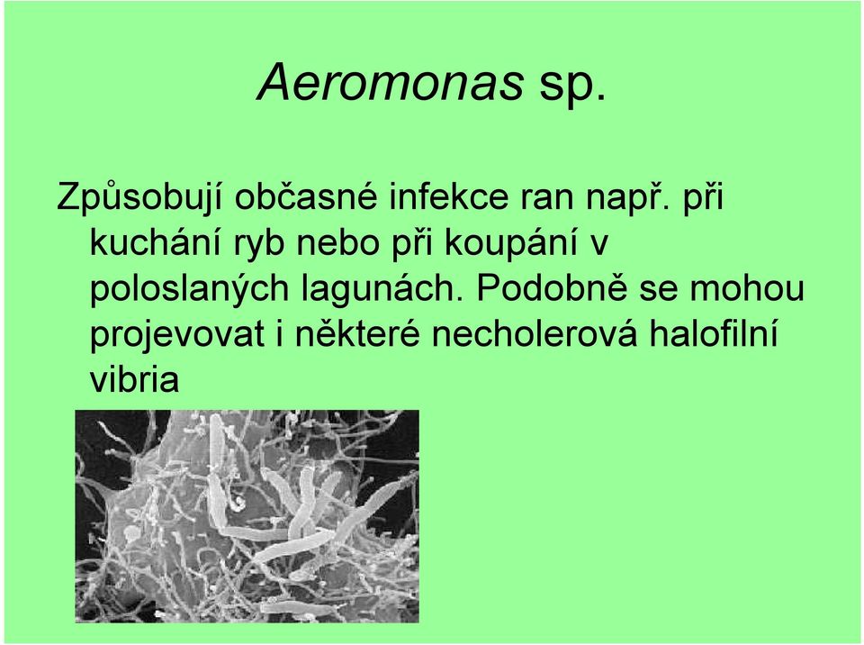 při kuchání ryb nebo při koupání v