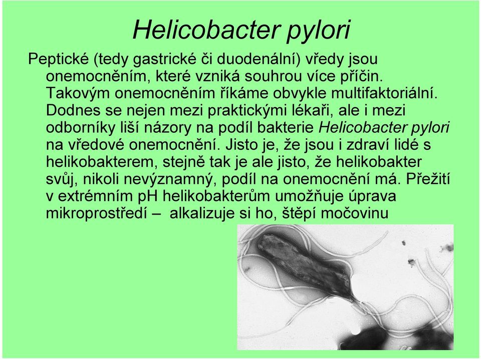 Dodnes se nejen mezi praktickými lékaři, ale i mezi odborníky liší názory na podíl bakterie Helicobacter pylori na vředové onemocnění.