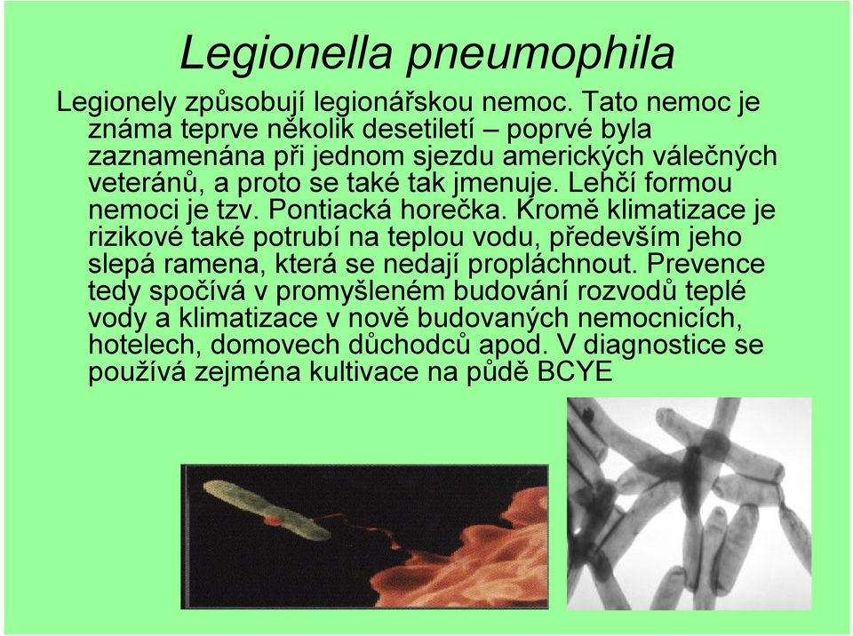 jmenuje. Lehčí formou nemoci je tzv. Pontiacká horečka.