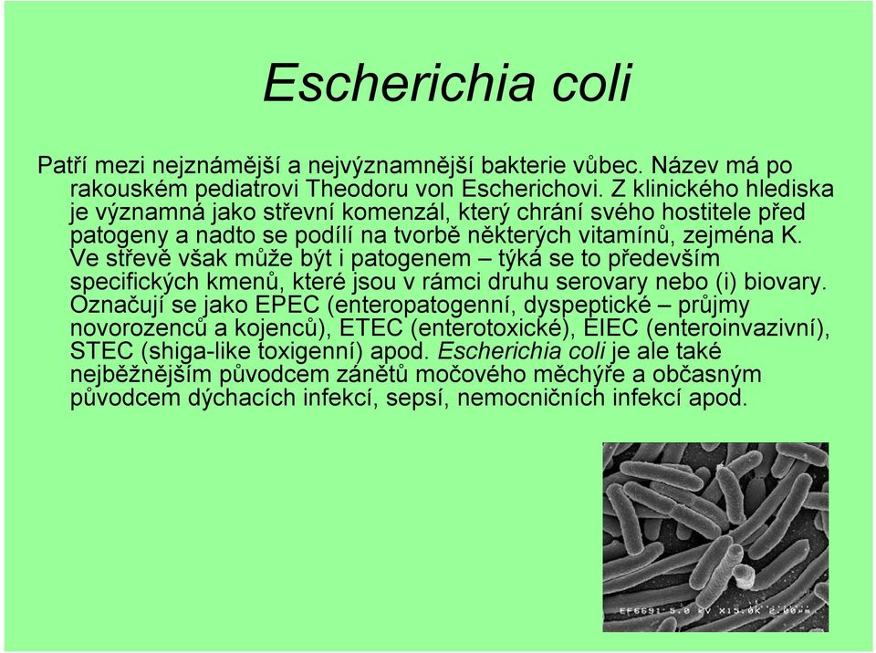 Ve střevě však může být i patogenem týká se to především specifických kmenů, které jsou v rámci druhu serovary nebo (i) biovary.