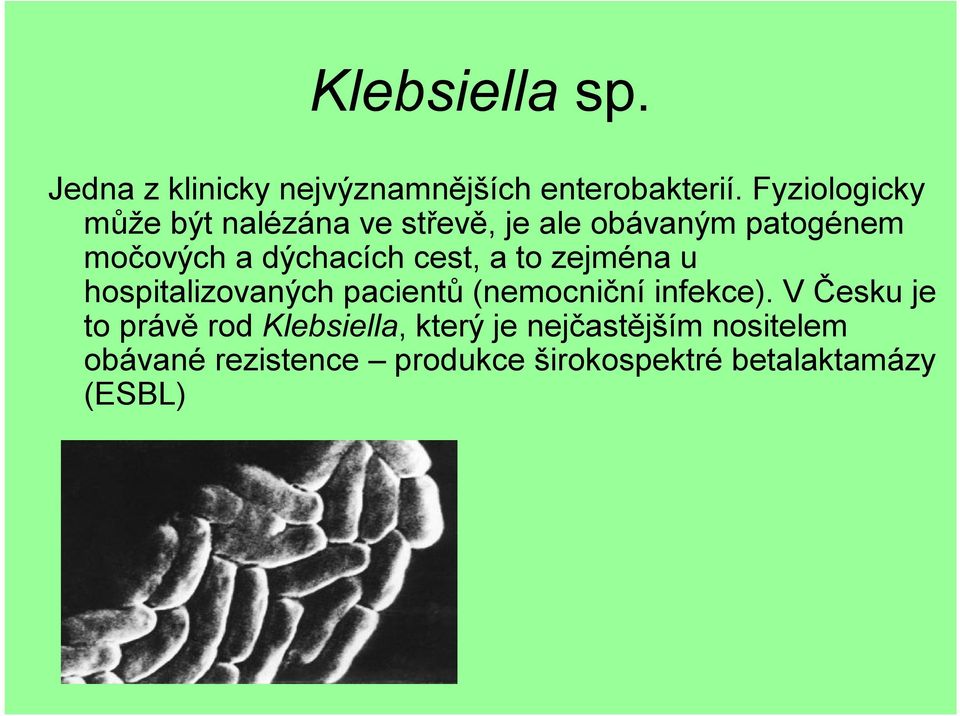 cest, a to zejména u hospitalizovaných pacientů (nemocniční infekce).