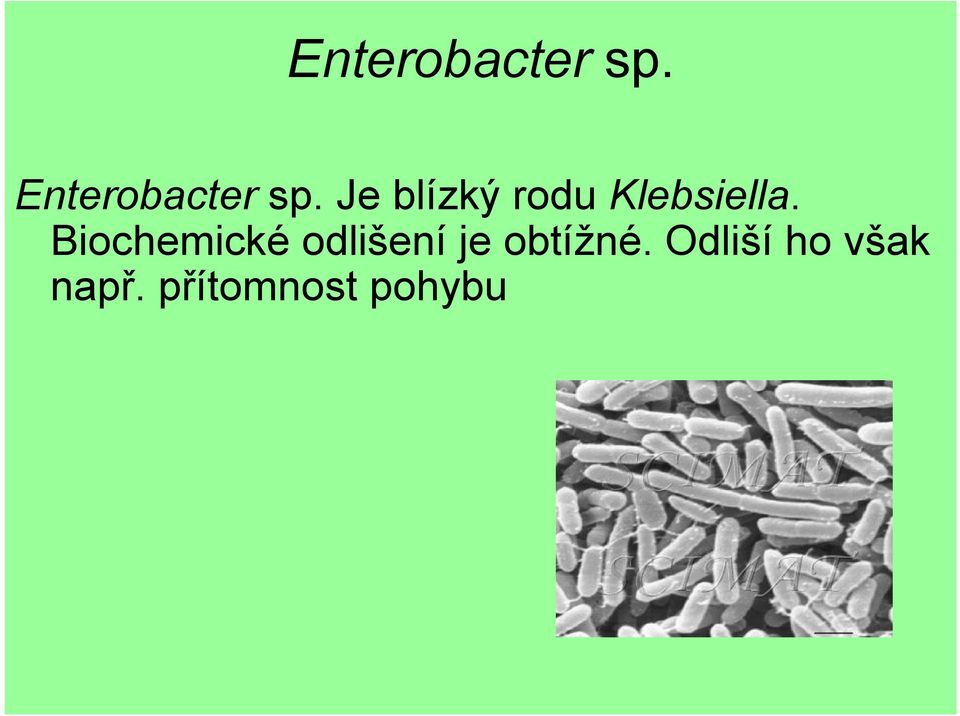 Biochemické odlišení je obtížné.