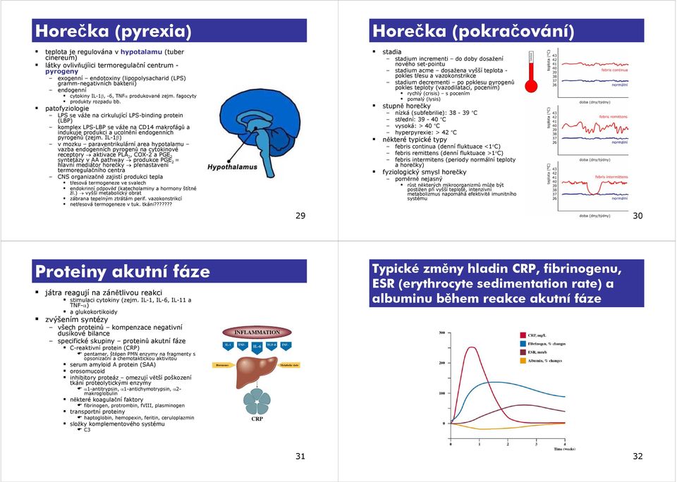 patofyziologie LPS se váže na cirkulující LPS-binding protein (LBP) komplex LPS-LBP se váže na CD14 makrofágů a indukuje produkci a ucolnění endogenních pyrogenů (zejm.