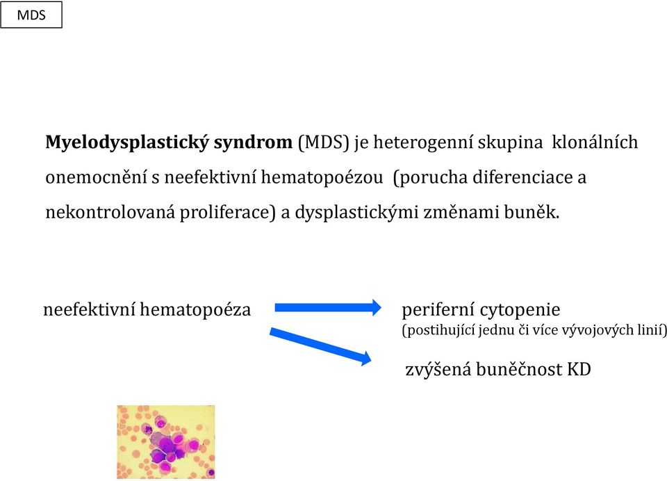 nekontrolovaná proliferace) a dysplastickými změnami buněk.