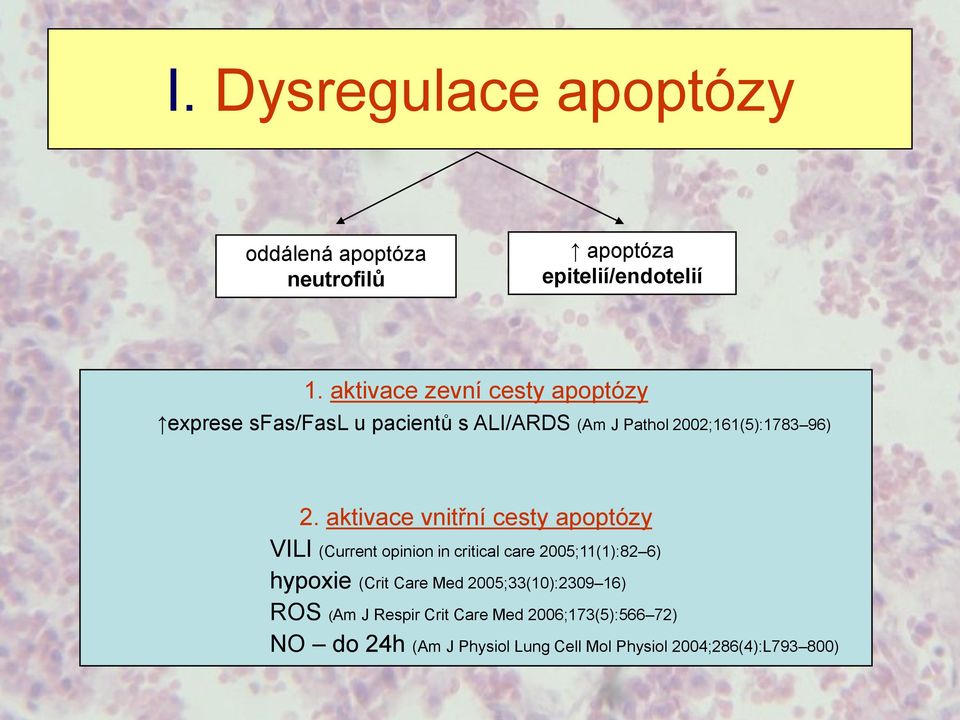 aktivace vnitřní cesty apoptózy VILI (Current opinion in critical care 2005;11(1):82 6) hypoxie (Crit Care Med