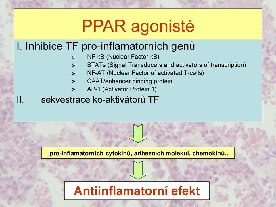 and activators of transcription)» NF-AT (Nuclear Factor of activated T-cells)»