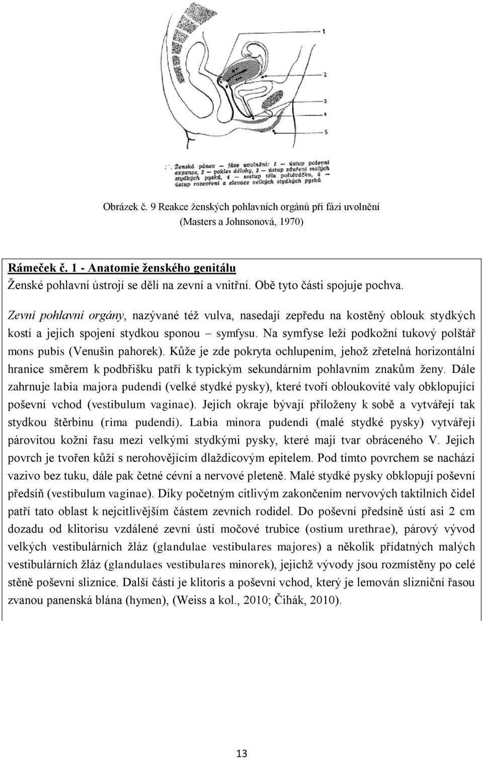 Na symfyse leží podkožní tukový polštář mons pubis (Venušin pahorek).