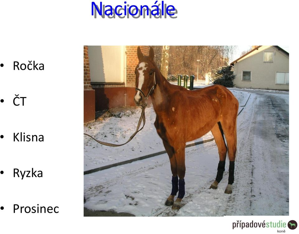 Klisna