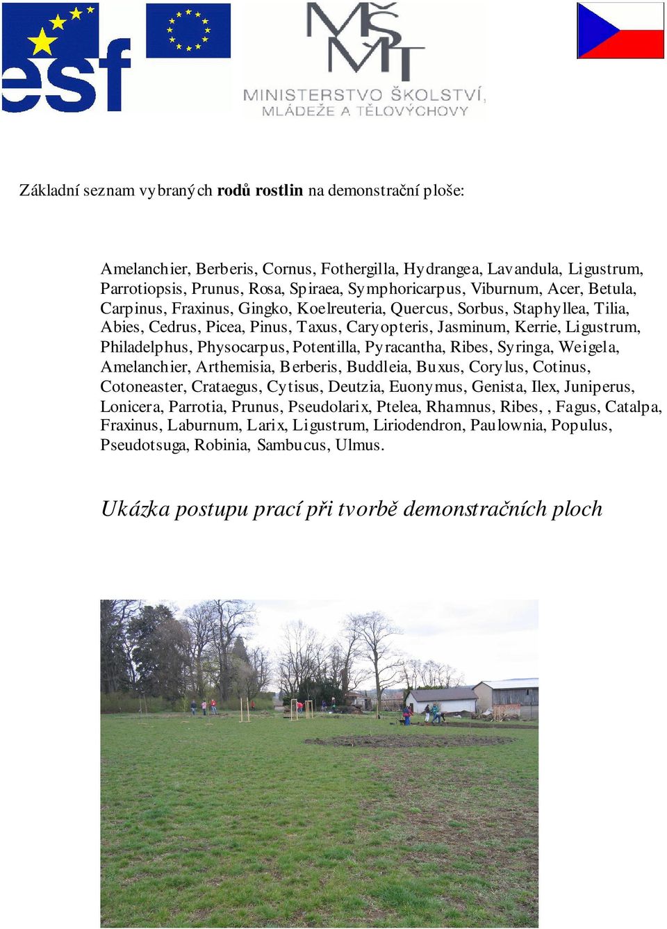 Physocarpus, Potentilla, Pyracantha, Ribes, Syringa, Weigela, Amelanchier, Arthemisia, Berberis, Buddleia, Buxus, Corylus, Cotinus, Cotoneaster, Crataegus, Cytisus, Deutzia, Euonymus, Genista, Ilex,