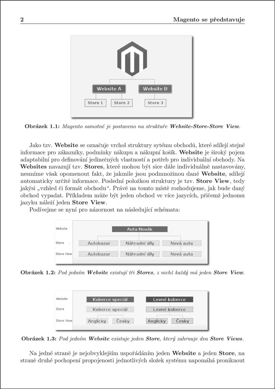 Website je široký pojem adaptabilní pro definování jedinečných vlastností a potřeb pro individuální obchody. Na Websites navazují tzv.