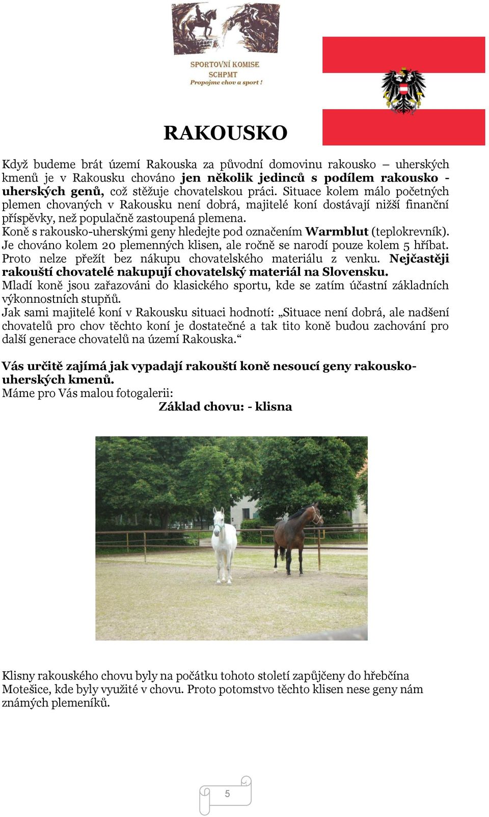 Koně s rakousko-uherskými geny hledejte pod označením Warmblut (teplokrevník). Je chováno kolem 20 plemenných klisen, ale ročně se narodí pouze kolem 5 hříbat.