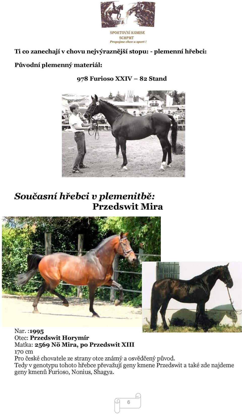 :1995 Otec: Przedswit Horymír Matka: 2569 Nö Mira, po Przedswit XIII 170 cm Pro české chovatele ze