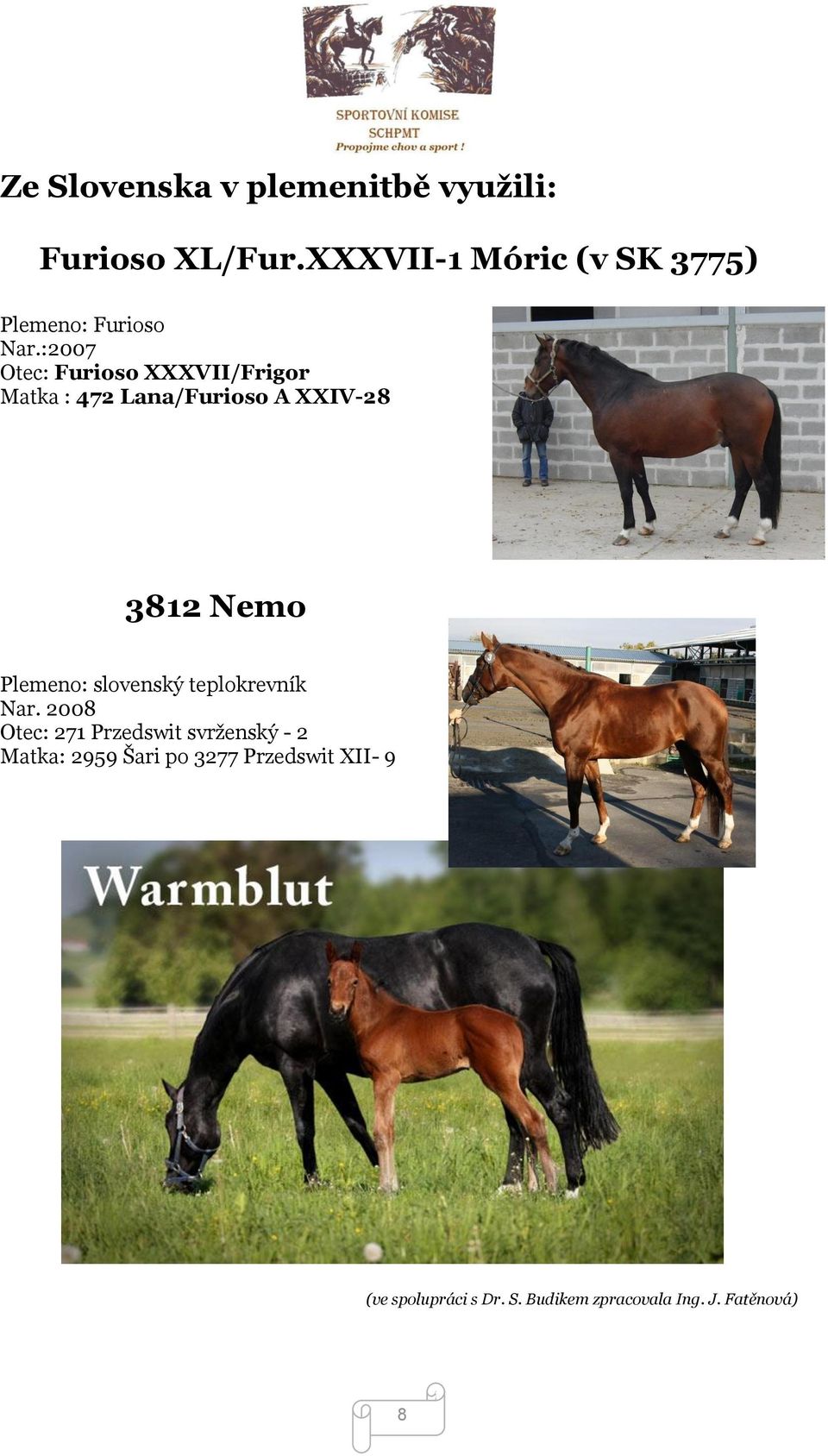 :2007 Otec: Furioso XXXVII/Frigor Matka : 472 Lana/Furioso A XXIV-28 3812 Nemo Plemeno: