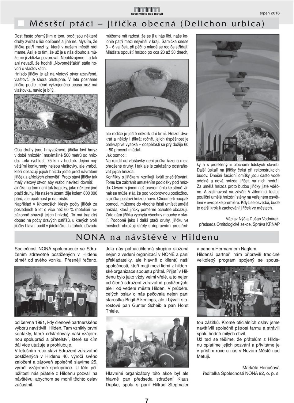 Neubližujeme jí a tak ani nevadí, že hodn Novom š ák stále hovo í o vlaštovkách. Hnízdo ji i ky je až na vletový otvor uzav ené, vlaštov í je shora p ístupné.
