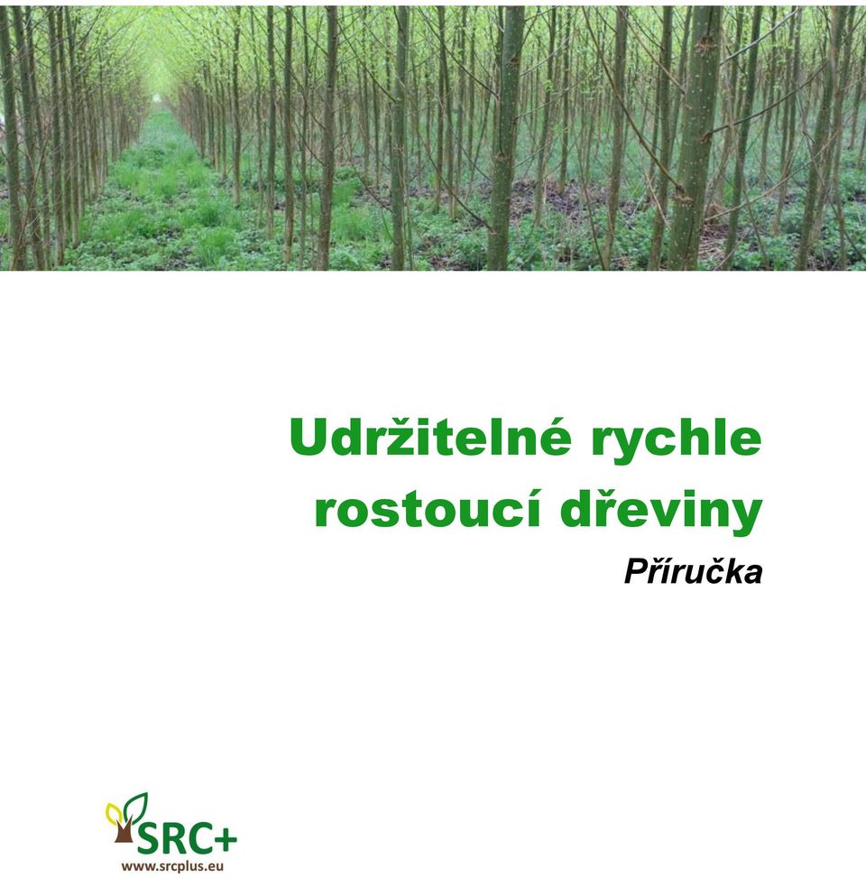 rostoucí