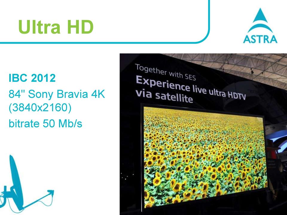 Bravia 4K