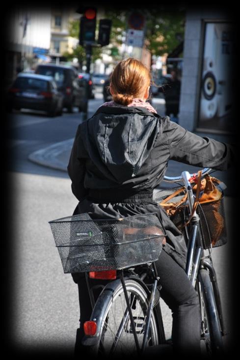Cyklisté Zdroj: Diplomová práce