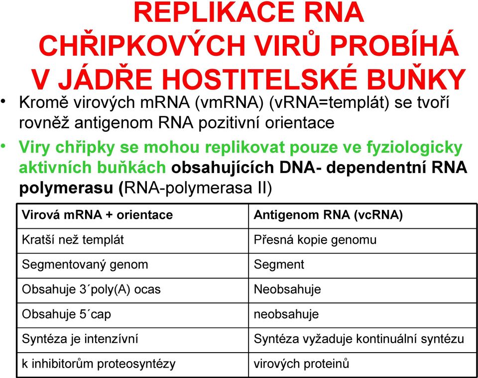(RNA-polymerasa II) Virová mrna + orientace Antigenom RNA (vcrna) Kratší než templát Přesná kopie genomu Segmentovaný genom Segment Obsahuje 3