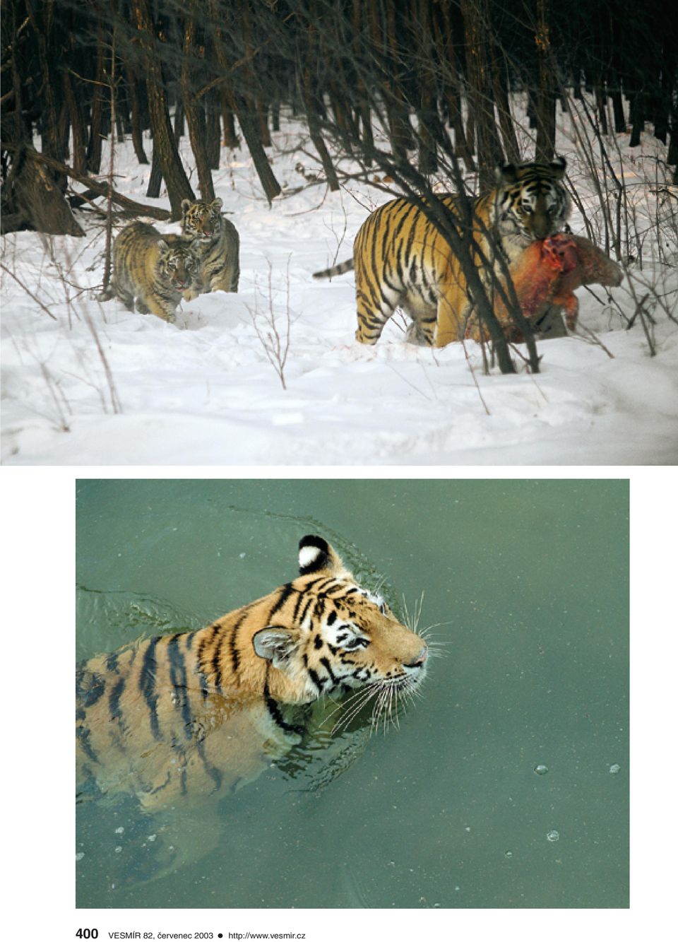 2003