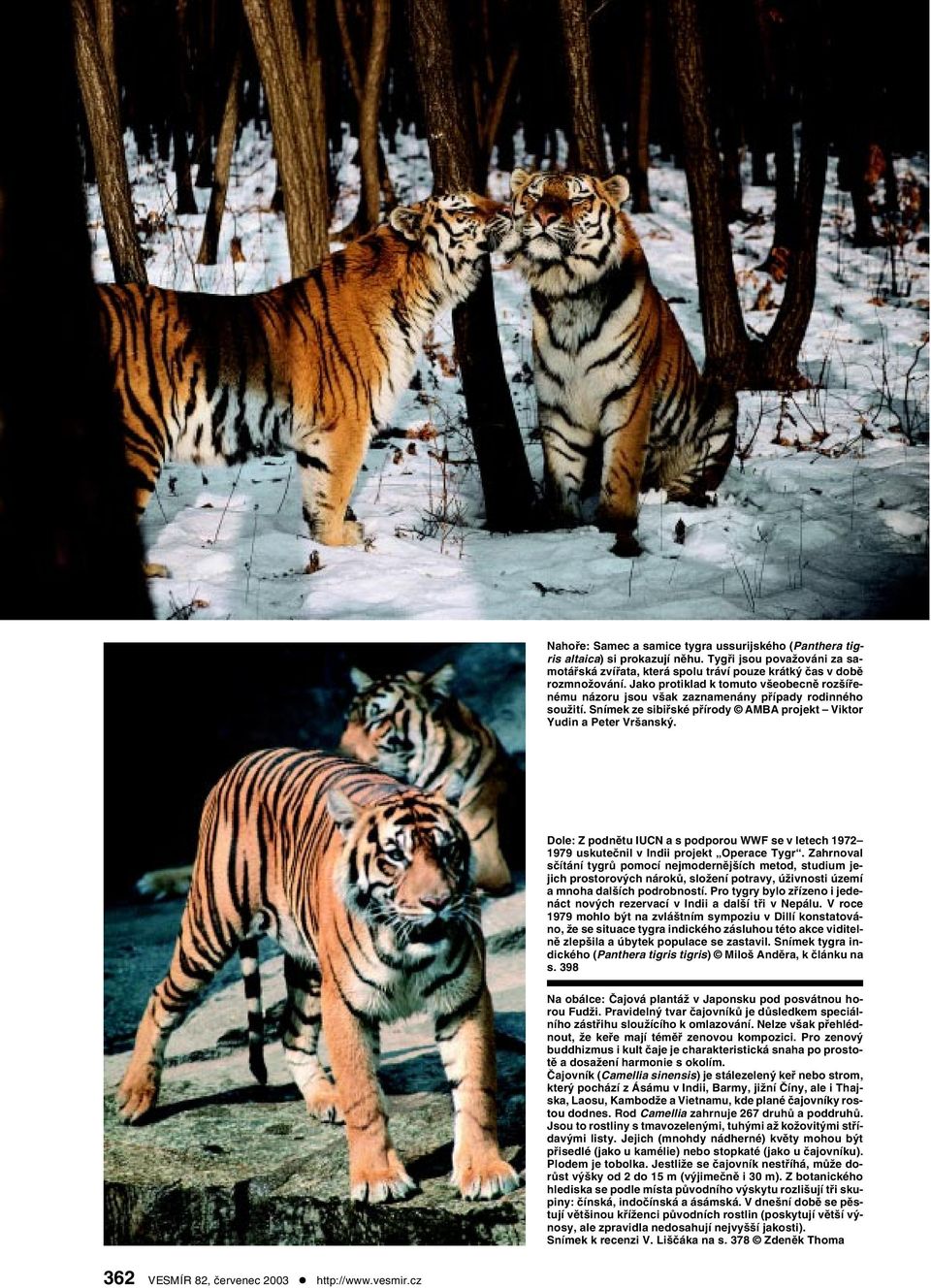 Dole: Z podnětu IUCN a s podporou WWF se v letech 1972 1979 uskutečnil v Indii projekt Operace Tygr.