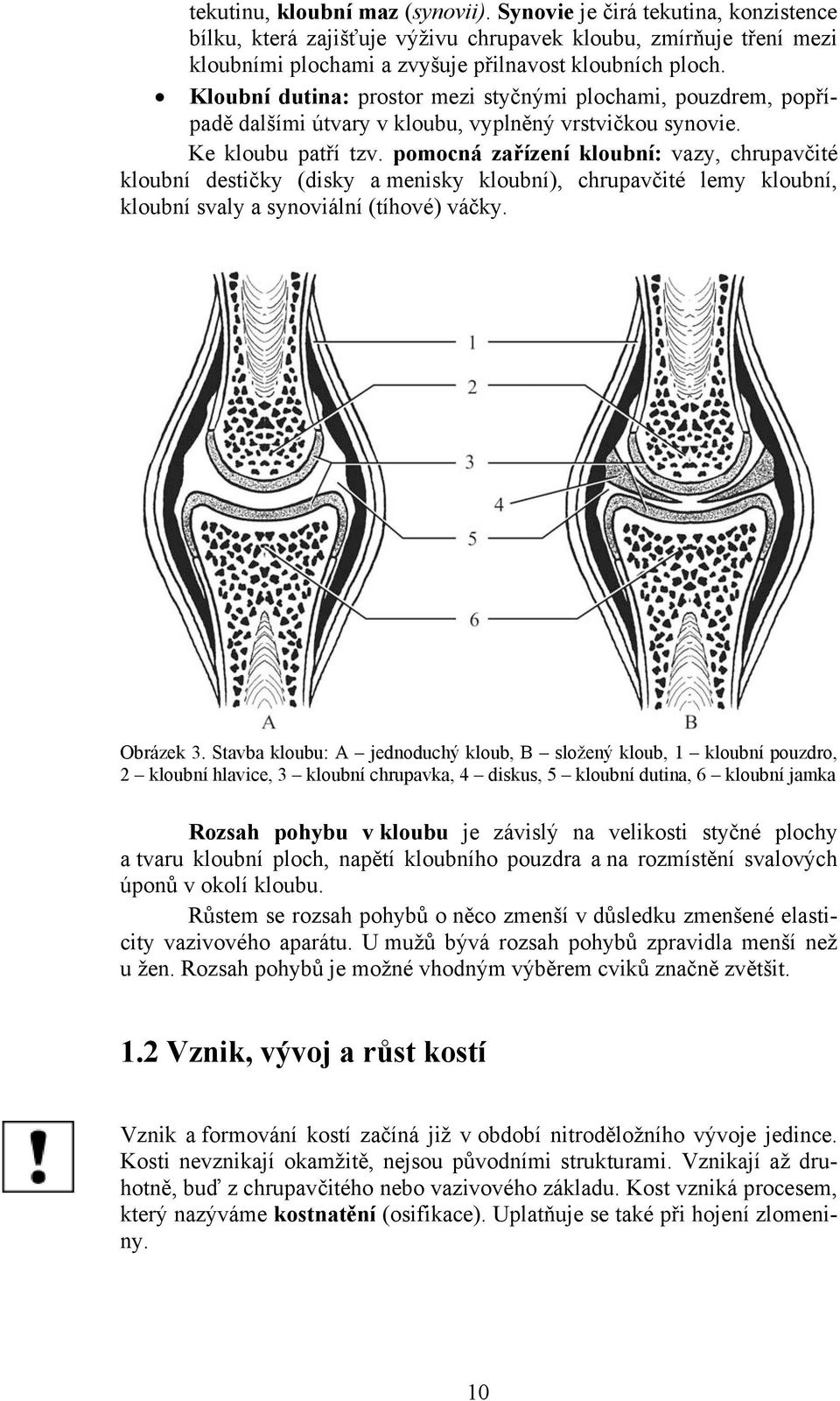 pomocná zařízení kloubní: vazy, chrupavčité kloubní destičky (disky a menisky kloubní), chrupavčité lemy kloubní, kloubní svaly a synoviální (tíhové) váčky. Obrázek 3.